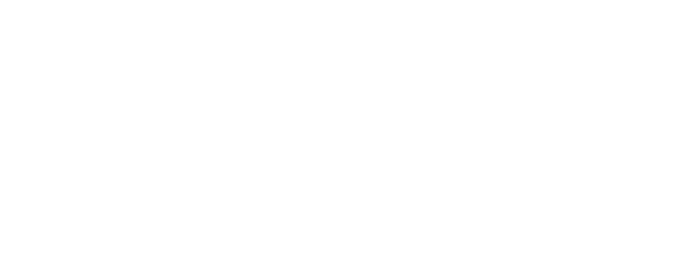 Rally Point Logo